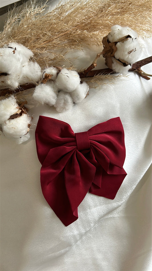 Pince Blanche à cheveux